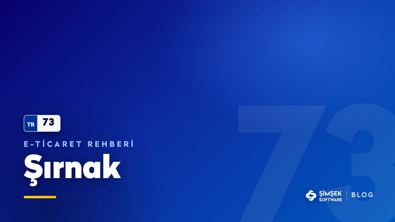 Şırnak'ta e-ticaret: Habur'dan geçen ticareti internete taşımak